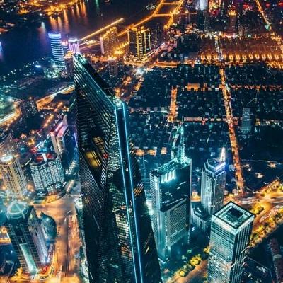 日本养青蛙游戏app下载